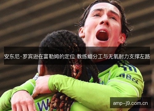 安东尼·罗宾逊在富勒姆的定位 教练组分工与无氧耐力支撑左路 安东尼·罗宾逊在富勒姆的定位 教练组分工与无氧耐力支撑左路